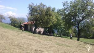 Fattoria di famiglia