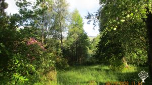 Traditional planted garden and woodland. Two small ponds.  Wildlife.  Wildflowers. Vegetable beds.