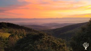 Um espaço escola onde acontecem vivências, retiros e cursos como Agrofloresta , Bioconstrução, etc