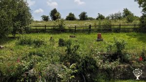 New small holding with fields, orchard & wooded area