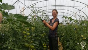 Demeter-Betrieb mit Gemüse, Schafen und Direktvermarktung
