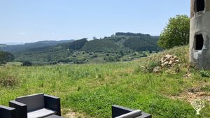 Planning vinyard, gardening