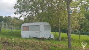 Lieu en construction pour devenir un jardin pédagogique, un lieu d'échanges autour du végétal.