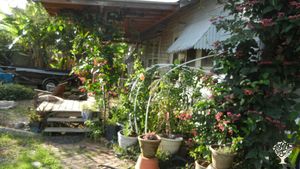 Farmin' in Cajun country