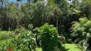 Hobby farm on 1 acre of botanical garden, with orchard, vegetable garden, greenhouses, and apiary