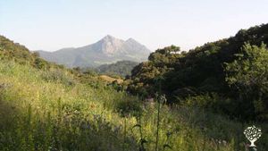 Permaculture family farm