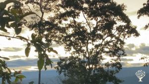 Eco Lodge/Wilderness Adventures, Flower Garden Farm, Family farm