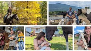 Hobby farm & animal rescue in the West Kootenays