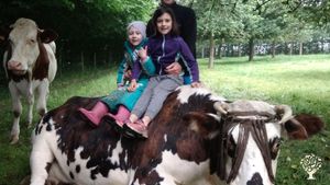 Ferme de 40 ha en Normandie