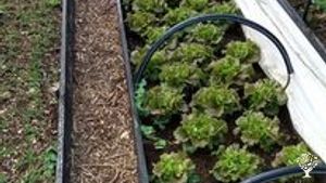 Progetto di ecovillaggio ecocompatibile al nord della Toscana