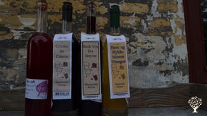 Vineyard, Family farm