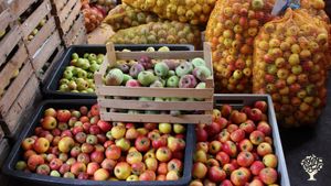 Obstweinkellerei und Mosterei mit Streuobstwiesen