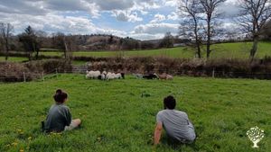 Ferme laitière brebis chèvre avec transformation fromagère en agriculture biologique