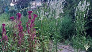 <GN101>강변의 아름다운 석양이  함께합니다 / The Beautiful Sunset by the Riverside Accompanies You