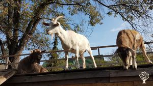 Bauernhof im Spreewald