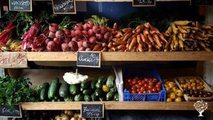 Seasonal café, musteri, garden & events