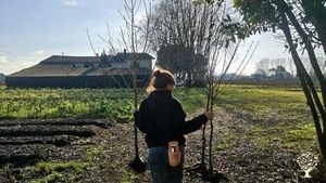 Maraîchage diversifié en agroécologie, MSV, bio, beefriendly dans un château viticole
