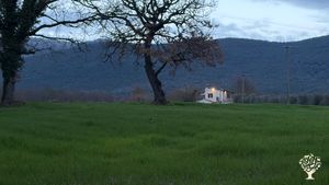 Giovane azienda agricola, animali da cortile, orto, giardino e tanta natura!