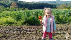 Market Garden, Mixed Farm