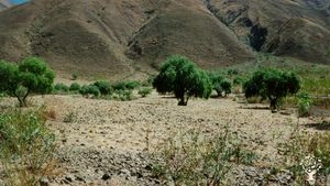 Educational Centre, Agritourism Destination, Fruit tree nursery, Mixed Farm, Community farm