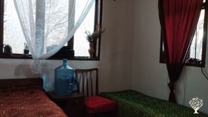 Permaculture homestead developing a forest garden, a DEI safe space