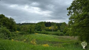 Ferme laitière brebis chèvre avec transformation fromagère en agriculture biologique