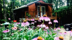 Aimee's house