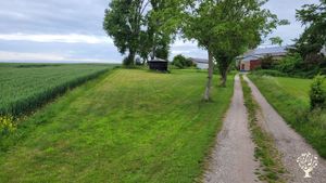 Small farm with many dreams