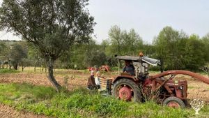 Organic farm  at the foot of the Serra Estrella - Bio Bauernhof am Fuße der Serra Estrella