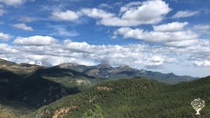 Casa rural con huerto familiar ecológico y bosque. Centro de retiros de yoga y otras actividades..