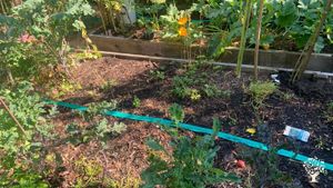 Family home and garden - rural