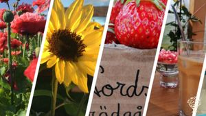 Homestead, Market Garden, Family farm, garden store