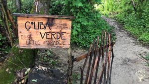 Ecological, self-sufficient (off-grid) farm in the forest