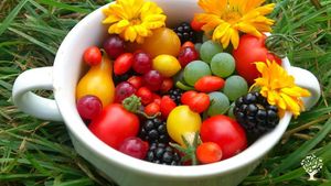 Ekozámeček Stroupeček