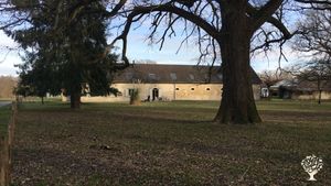 Ferme avec potager, brebis, poules, chiens, chats...et enfants !!