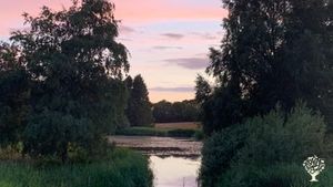 Smallholding, Eco Retreat, Fruit tree nursery, Orchard, Family farm