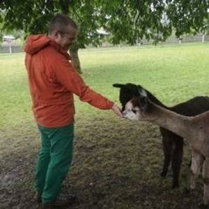 Joost