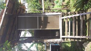 Family home and garden - urban