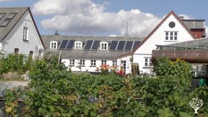 Intentional Community, Eco Lodge/Wilderness Adventures, Vineyard, Cattle Ranch, Livestock Farm