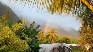 3-acre start-up aquaculture/Aquaponics operation set where the mountains meet the ocean