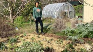 End of winter, seeds started  in hoop house transplanted into field. 