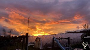 Highly diversified certified-organic production farm on island in St Lawrence River