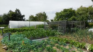 Communal living / cohousing