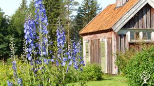 Farm in a remote silent and calm area