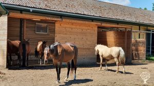 Family home and garden - rural, Educational Centre, Horse Ranch, Livestock Farm, Apiary