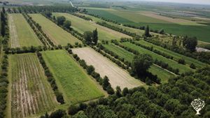 Agroforestazione, agricoltura rigenerativa, eventi e ospitalità in agriturismo