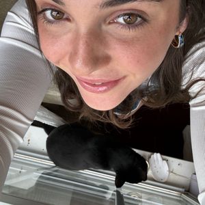 Giordana