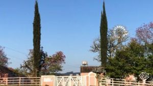 Produção de Framboesas e diversos alimentos orgânicos