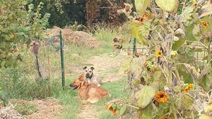 La Neira is a small family farm, a quiet country estate far away from the hustle and bustle.