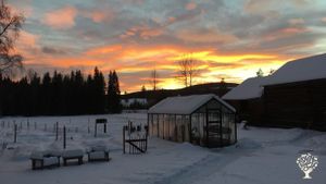 Family home and garden - Self sufficiency